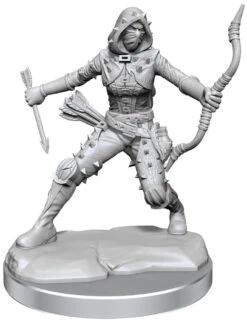 D&D Frameworks Human Rogue Female