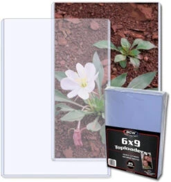 BCW Topload Holder Photo (6" X 9")